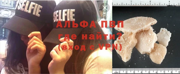 сатива Алексеевка