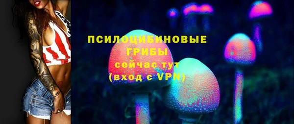 марки lsd Белокуриха