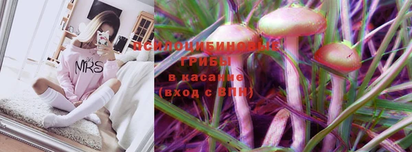 сатива Алексеевка
