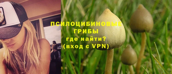 метадон Алзамай